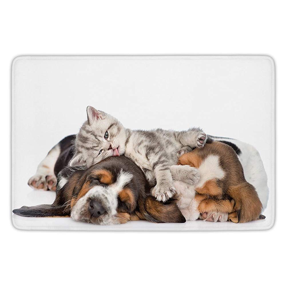 ziHeadwear Bathroom Bath Rug Kitchen Floor Mat Carpet,Funny,Newborn Kitten Lying on the Puppies Basset Hound and Licks Sleeping Cuddle Picture,Multicolor,Flannel Microfiber Non-slip Soft Absorbent