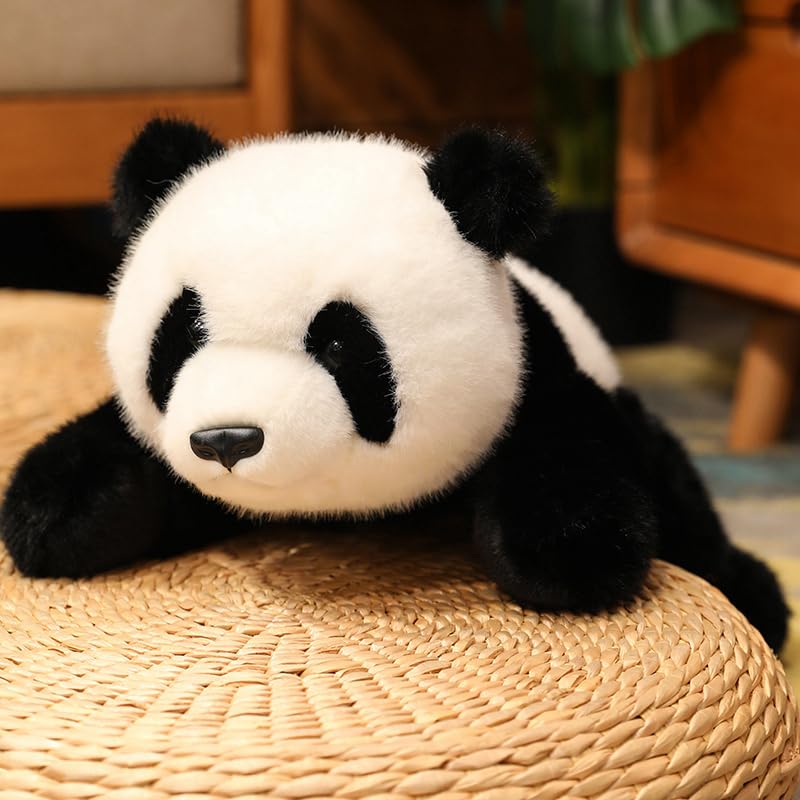 Amazon.co.jp: BEARS'HOMEぬいぐるみ くま クマ 熊パンダpanda抱き枕