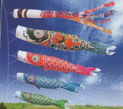 Amazon | 【徳永鯉のぼり】庭園用【ポール別売り】大型鯉【10m鯉4匹