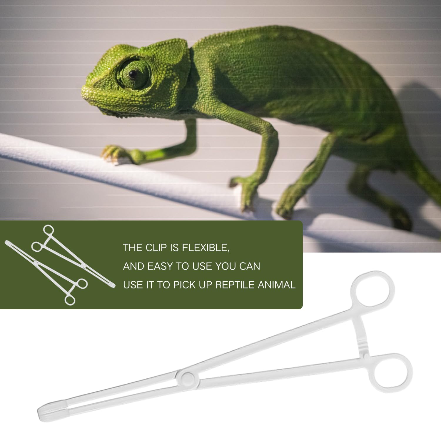 HIXNUG Reptile Feeding Clip Pet Raising Feeding Tool Non-Skidding Tweezers for Tortoise Lizard Frog Spider Tarantulas - Image 2