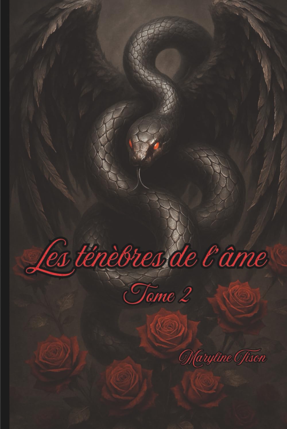 Les ténèbres de l'âme : tome 2