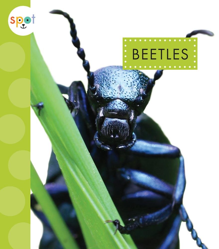 Beetles (Spot Creepy Crawlies)