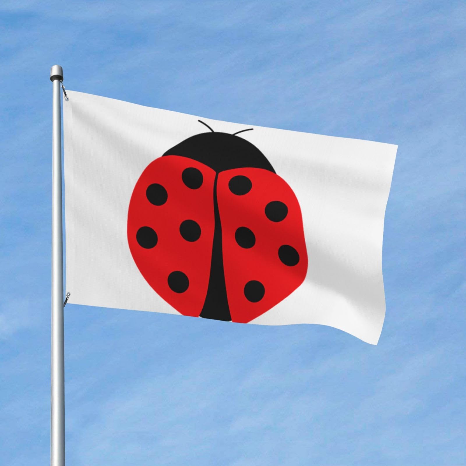 Drapeau De Jardin Coccinelle Rouge Double Face De 30,5 X 45