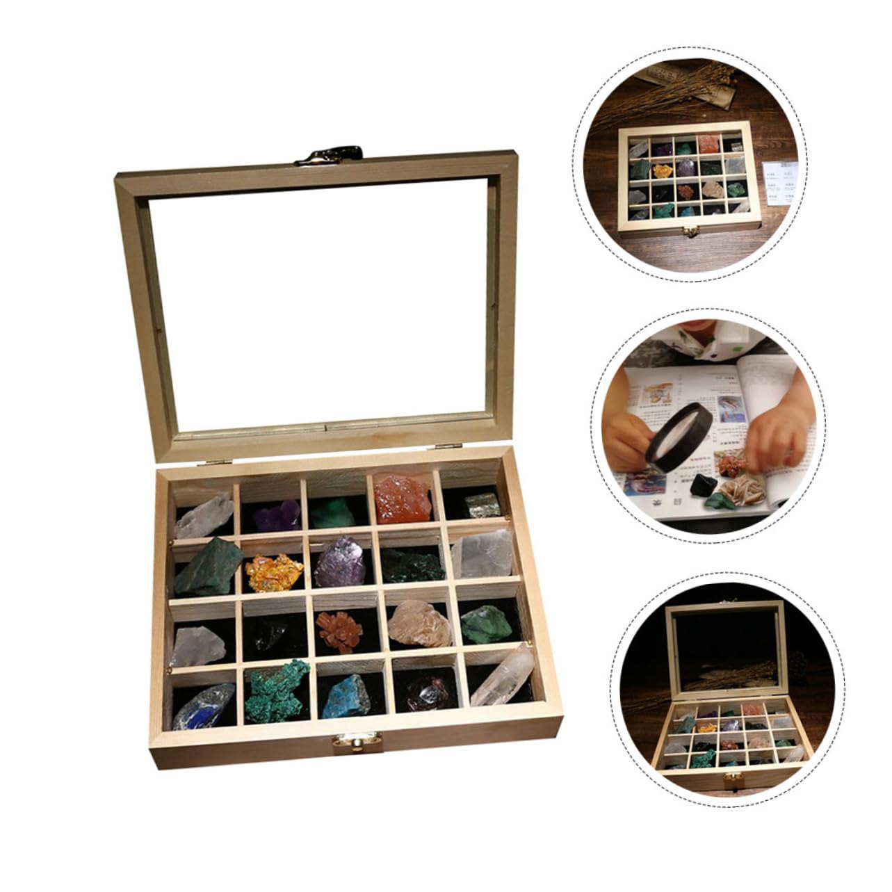 Healeved 20 Einzigartige Natursteine Sammelbox Dekorative Steine ​​für Zuhause Freunde Lehrmittel Für Aquarien Und Gärten