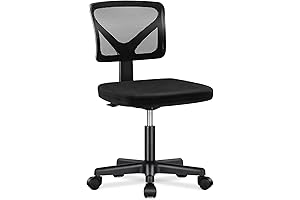 Ergonomic Home Office Computer Desk Chair with Back Support