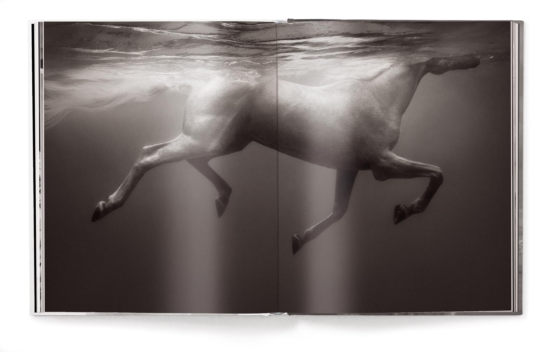 Untamed Spirits: Horses from Around the World /anglais/allemand