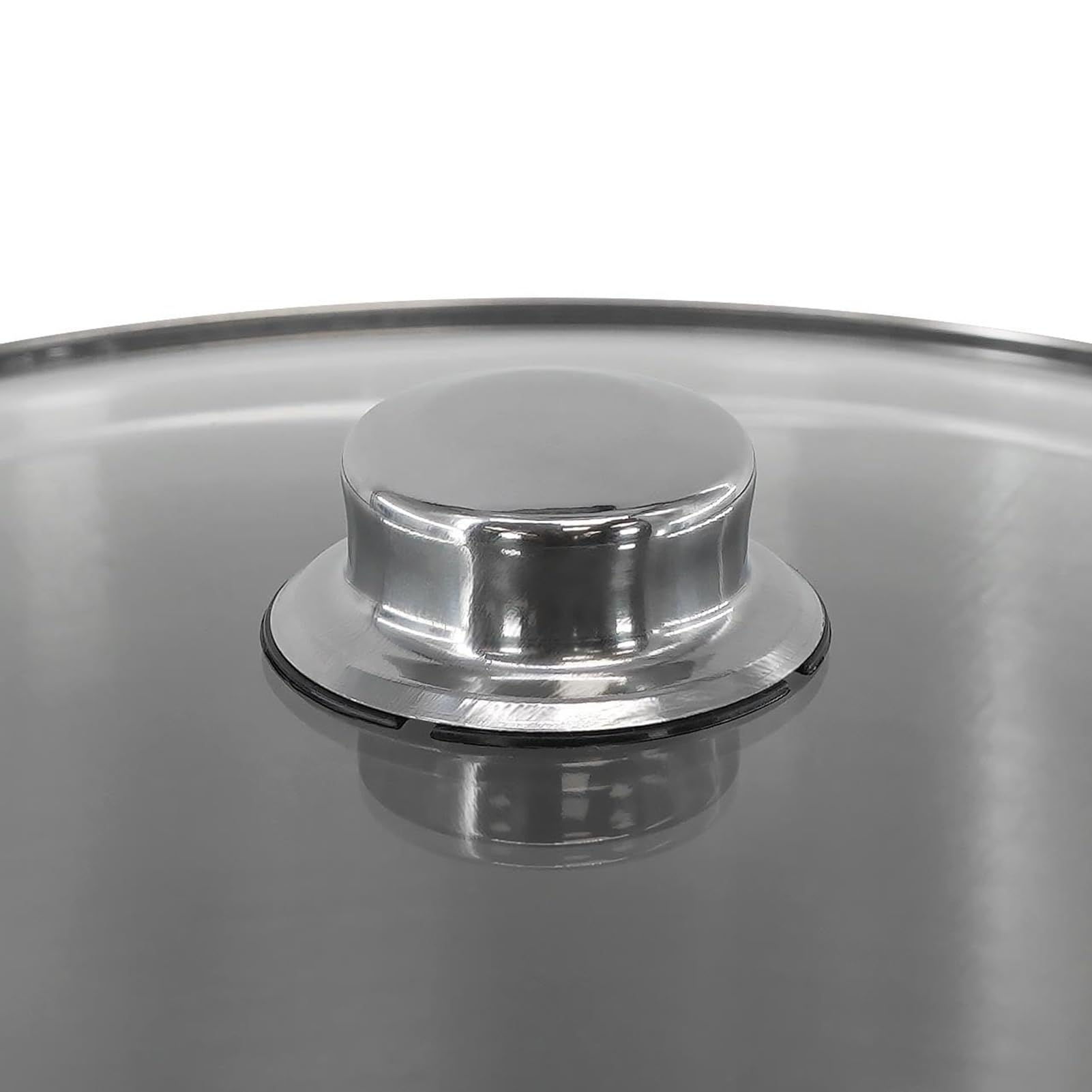 THEGA Grand Stock Pot avec Couvercle - Stockpot en Acier Inoxydable, Casserole en Acier Inoxydable Stockpot Base À Induction Grand Stock Pot Profond Couvercle en Verre(24 x 14 cm 6.5 LTR)