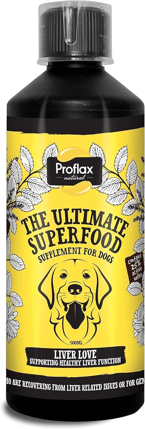 Liver Love Supplement 500ml – Fast Acting – Supports Liver Function, Antioxidant, Immune System Heath, Natural Liver Detox Supplement