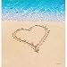 Creative Converting Border Printed Wedding Plastic Tablecover, Beach Love