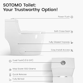 SOTOMO Oblong One Piece Toilet with Soft Close Seat 12 Inch Rough Modern Toilet for Bathroom 1.28 GPF Dual Flush, MAP 1000g, 28.4 x 15.5 x 26.6 Inch, Standard Toilet Bowl in