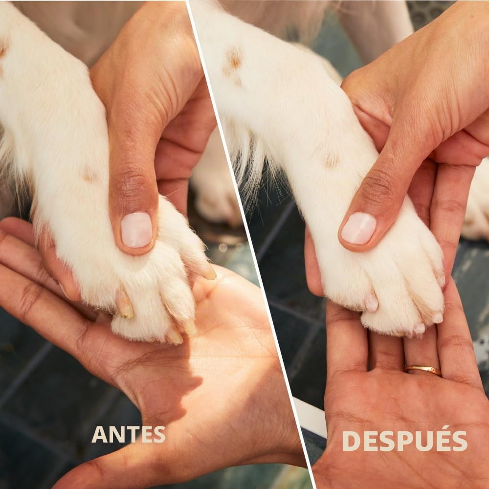 Dremel PawControl 7760-PET - Molinillo y recortador de uñas para perros, kit de herramientas de aseo inalámbrico y recargable para mascotas, seguro para perros, gatos y animales pequeños (exclusivo de