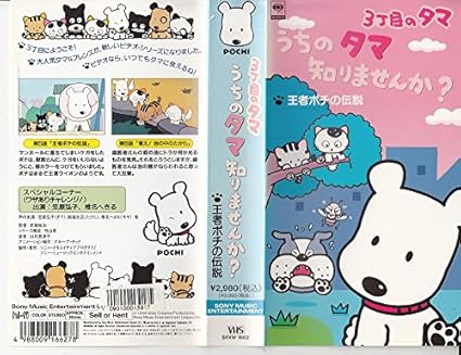 本日の目玉 H5 3丁目のタマ うちのタマ知りませんか 本日の目玉 H5 3丁目のタマ うちのタマ知りませんか