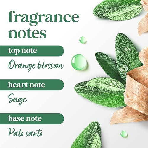 Image of Dove Advanced Care Palo Santo Antiperspirant Stick 2.6oz, 2.6 Ounce (Pack of 12)