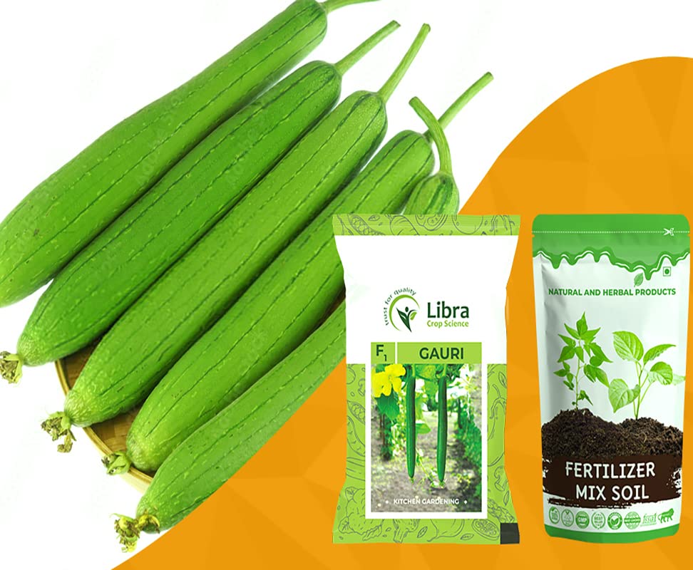 Galka Seeds for Planting | Sponge Gourd | Farming | Home | Garden | Kitchen | Vegetable | Hybrid | Terrace | Balcony | Eating | Luffa Cylindrica | Egyptian Cucumber | Vietnamese Luffa 31 Seed (GAURI) (B0B2R58XPB) Amazon Price History, Amazon Price Tracker