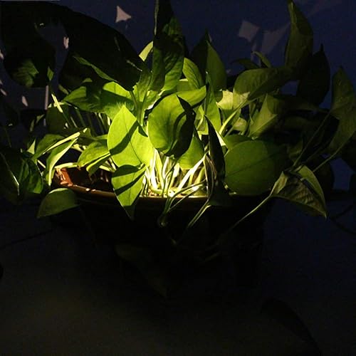 Miniatura 8 de Heaven2017 - Juego de 2 luces solares impermeables para macetas y plantas al aire libre