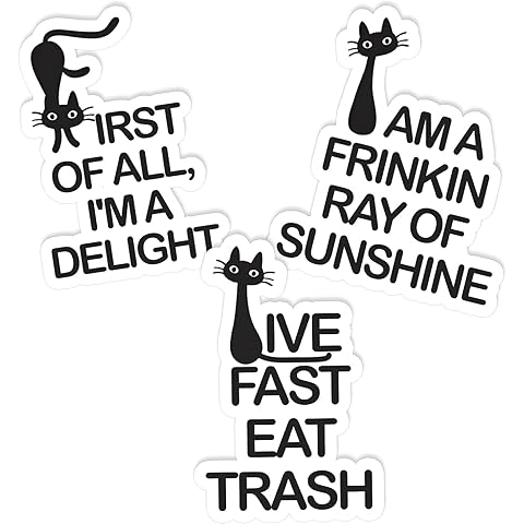 (3Pcs) Sassy Black Cat Stickers 3'' Funny Attitude Stickers for Adults, Waterproof ...