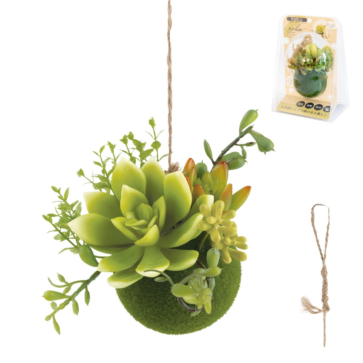 Amazon｜フェイクグリーン ミニ 吊り下げ 消臭 多肉植物 苔玉 空気清浄
