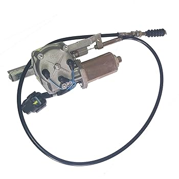 スズメ スズメ 10 | HANSA