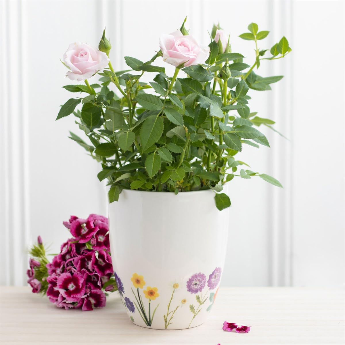 Zale Yardley White Plant Pots, “Wild Flower Plant Pot” House Fake Flower Pot, Terracotta Plants Pots, Outdoor Indoor Herbs Seed Trays, Garden Décor Planters