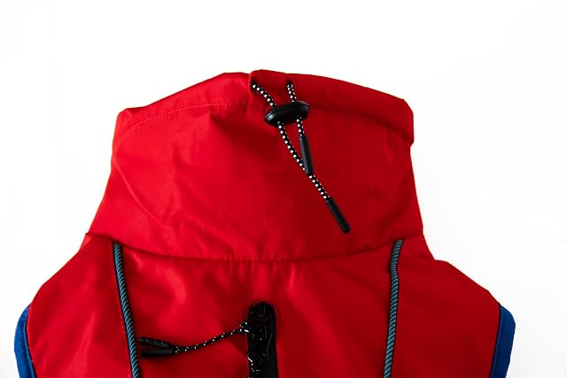 Foto 3 de 8 de Benetton Abrigo para Perro, Ropa para Perro,Chaqueta Impermeable para Perro,Abrigo para Perros pequeños