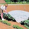 Alpurple Winter Plant Covers Freeze Protection -Warm Rectangle Plant Protection Cover, Frost Cloth Blanket Protecting Fruit Tree Potted Plants from Freezing Animals Eating (13 x 6.5 Feet)