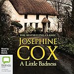 Cover of A Little Badness