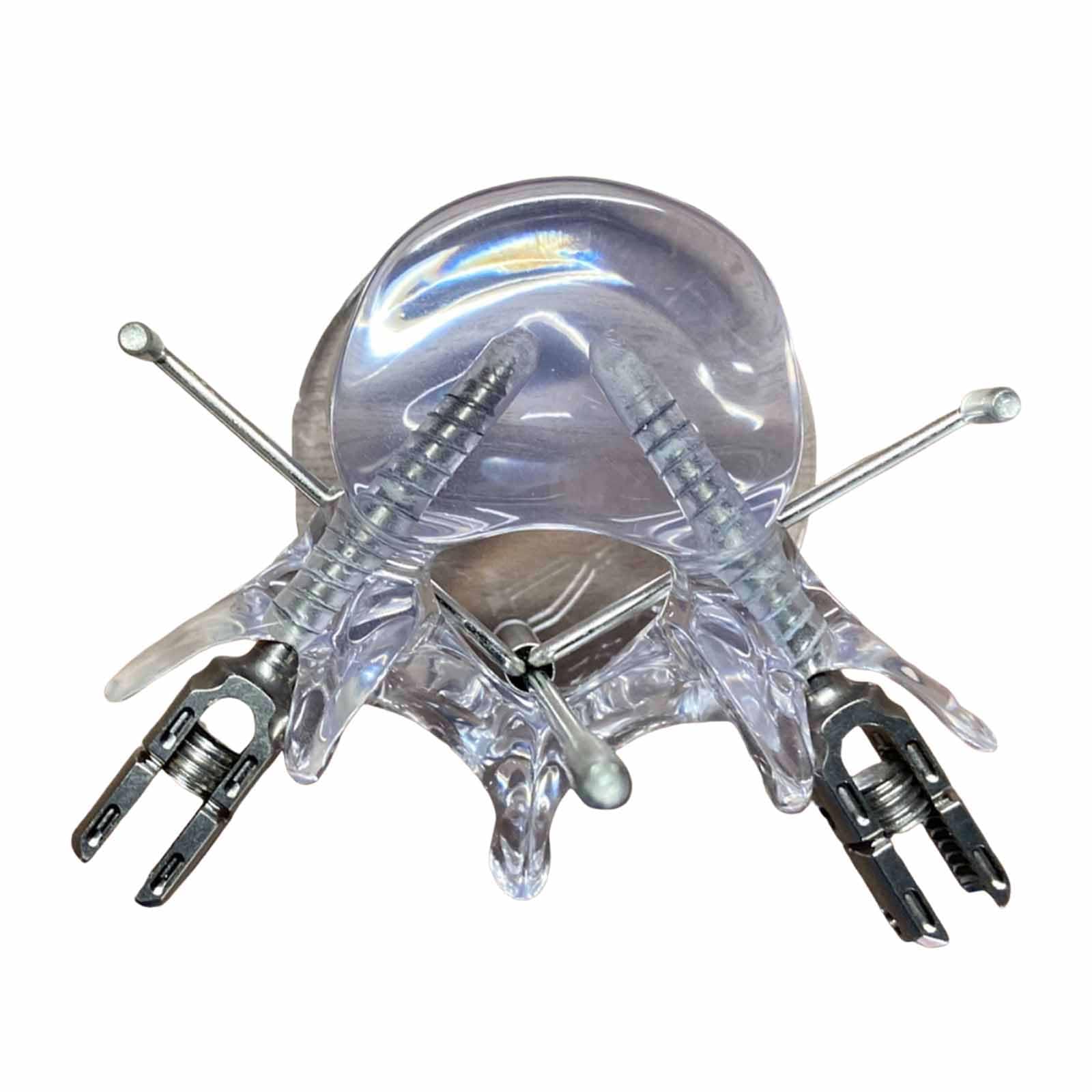 YRQMGSF Transparent Crystal Lumbar Spine Pet Training Model Veterinary Spinal Lumbar Fusion Internal Fixation Practice Model,A,12CM
