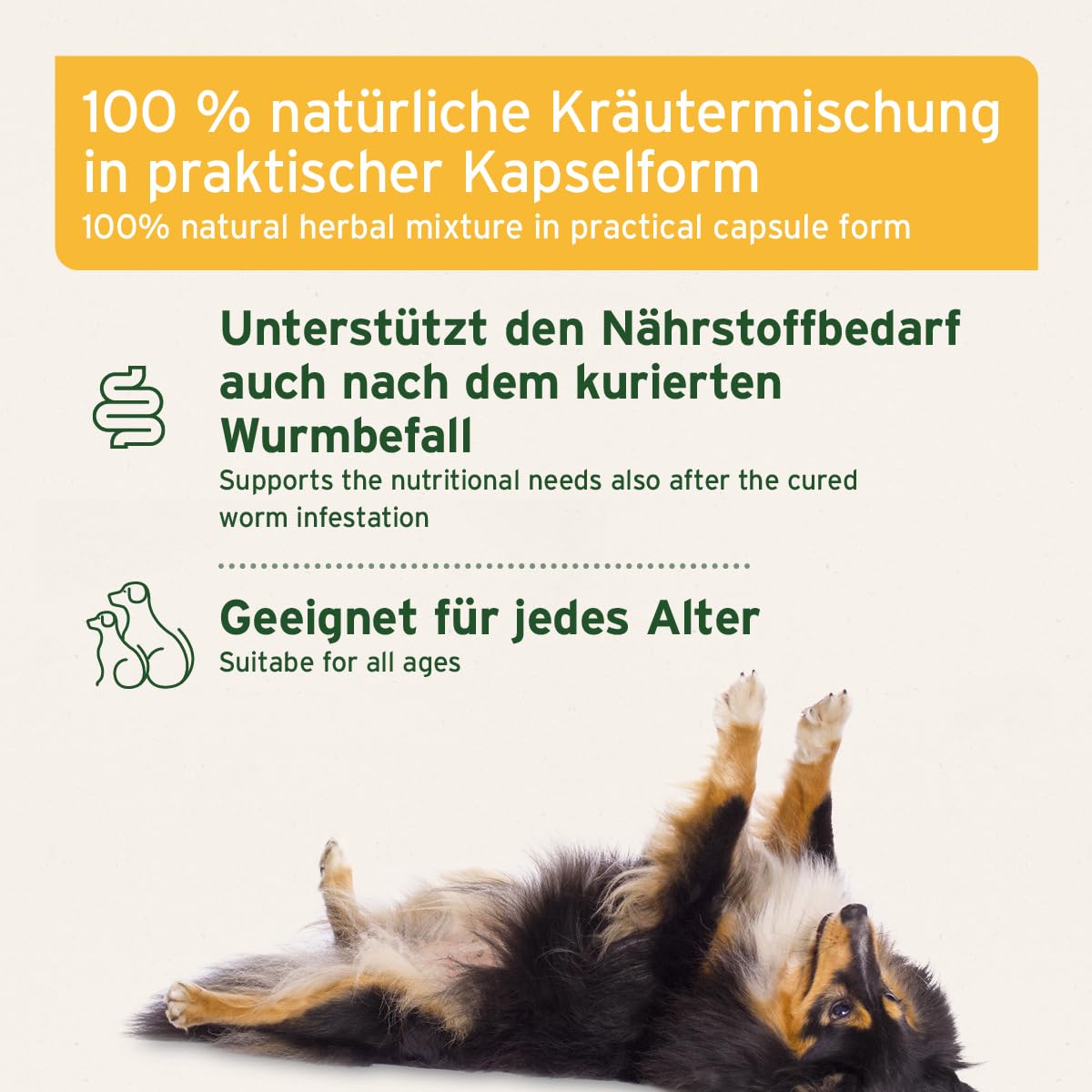 AniForte WermiX pour chiens 50 capsules - produit naturel avant, pendant et après une infestation de vers, l'absinthe, les herbes naturelles harmonisent l'estomac et l'intestin