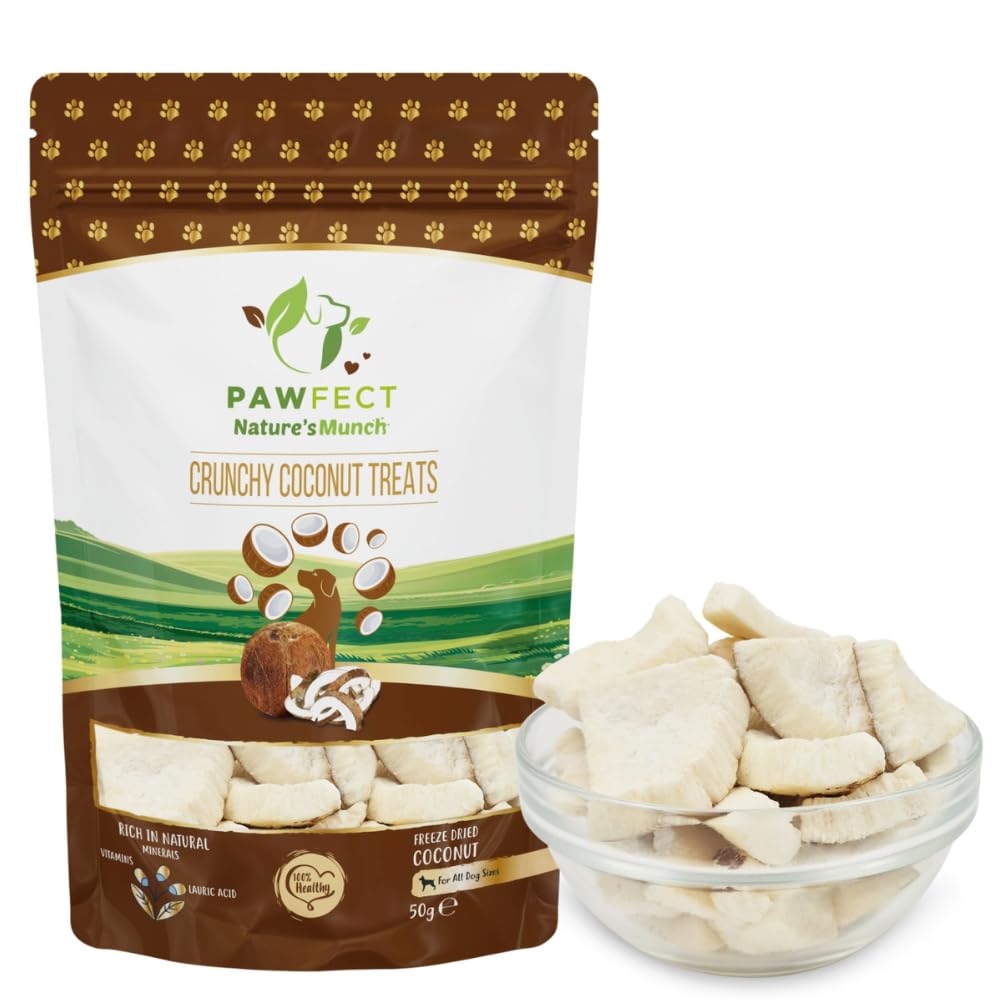 Pawfect Nature's Munch Freeze-Dried Crunchy Coconut Treats for Dogs | Vegan Treat | Immunity Booster | 100% Natural | Grain & Gluten Free | Low Calorie Training Treats (50g/1.76oz)