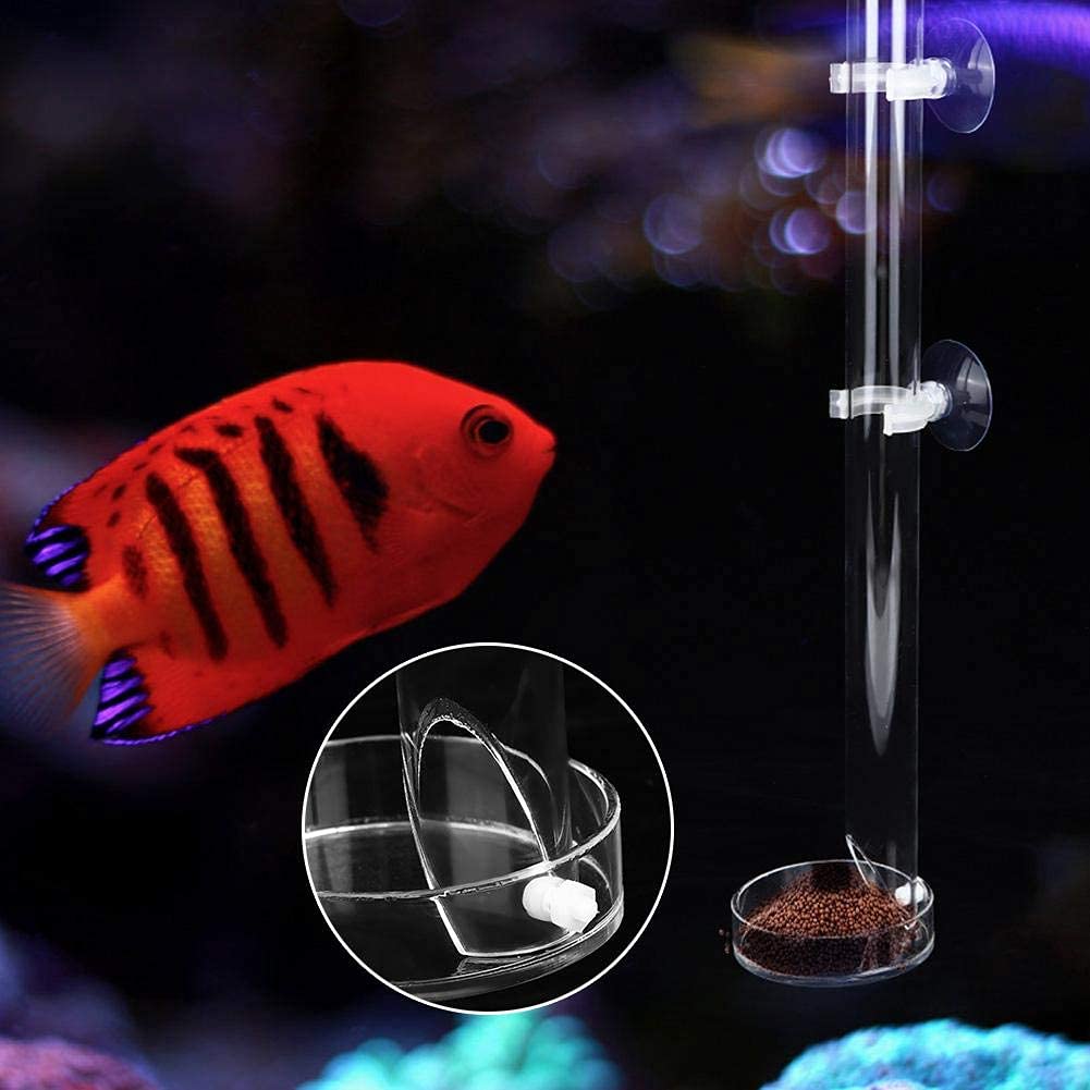 Tube d'alimentation Crevette Tube d'alimentation pour Crevettes en Acrylique Transparent Tube d'alimentation pour Aquarium (20cm)