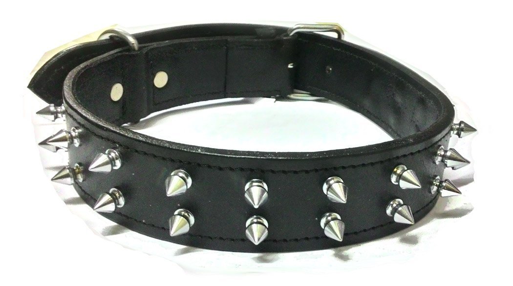 Petworld Double Spiked Leather Dog Collar Large Black (B09SGKCTC9) Amazon Price History, Amazon Price Tracker