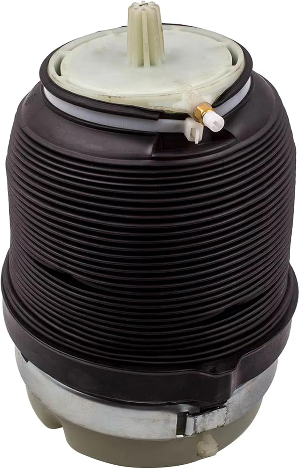 究極品質 幻のノースカロライナ産 アゾゼオクリアーホワイト