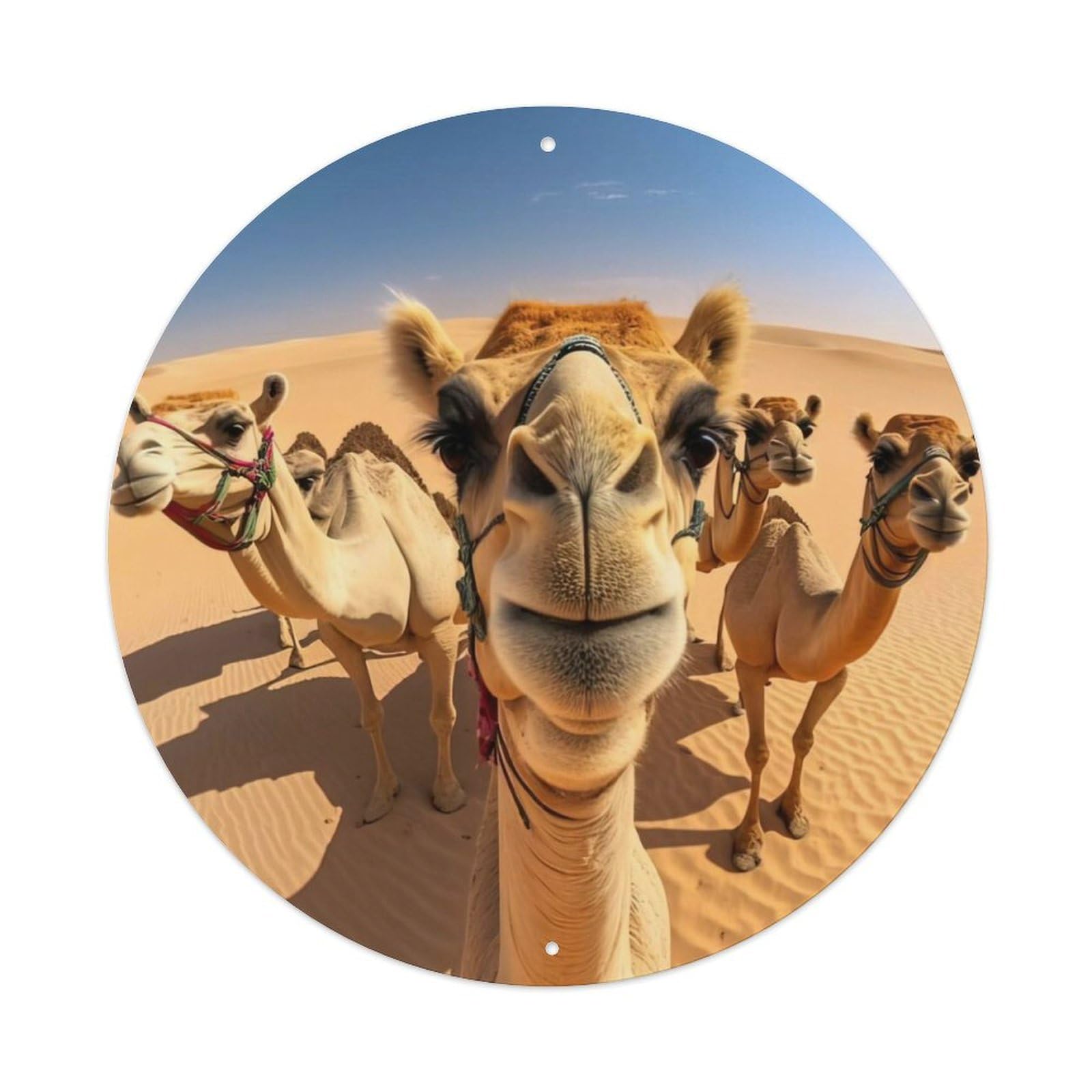 Camel Family Selfie Animal Metal Tin Sign