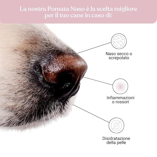 Foto 2 de 8 de Bau Pomada Nariz Perro Natural - Bálsamo para Trufa Seca y Agrietada con Manteca de Karité, Aceite de Cáñamo…