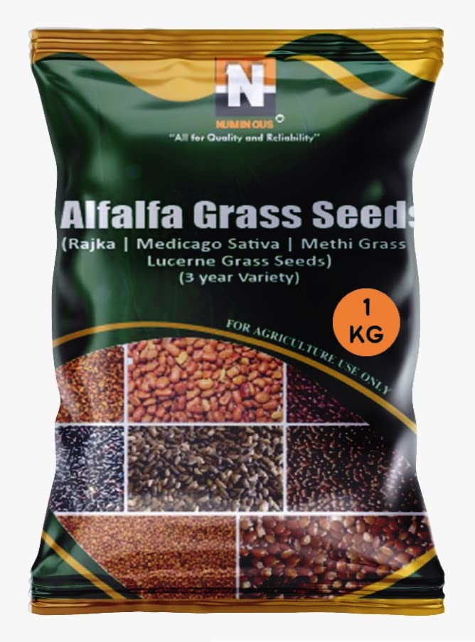 Numinous Alfalfa, Alfa Alfa, Lucerne, Medicago Sativa, Lucerne, Methi, Rajka 3 Sali Fodder Grass Seeds (3 Year Variety) - 1 Kg (B099QPXKBS) Amazon Price History, Amazon Price Tracker