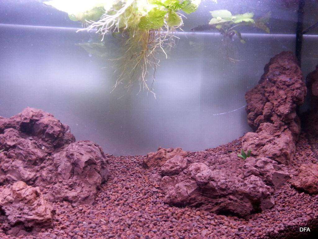 View 6