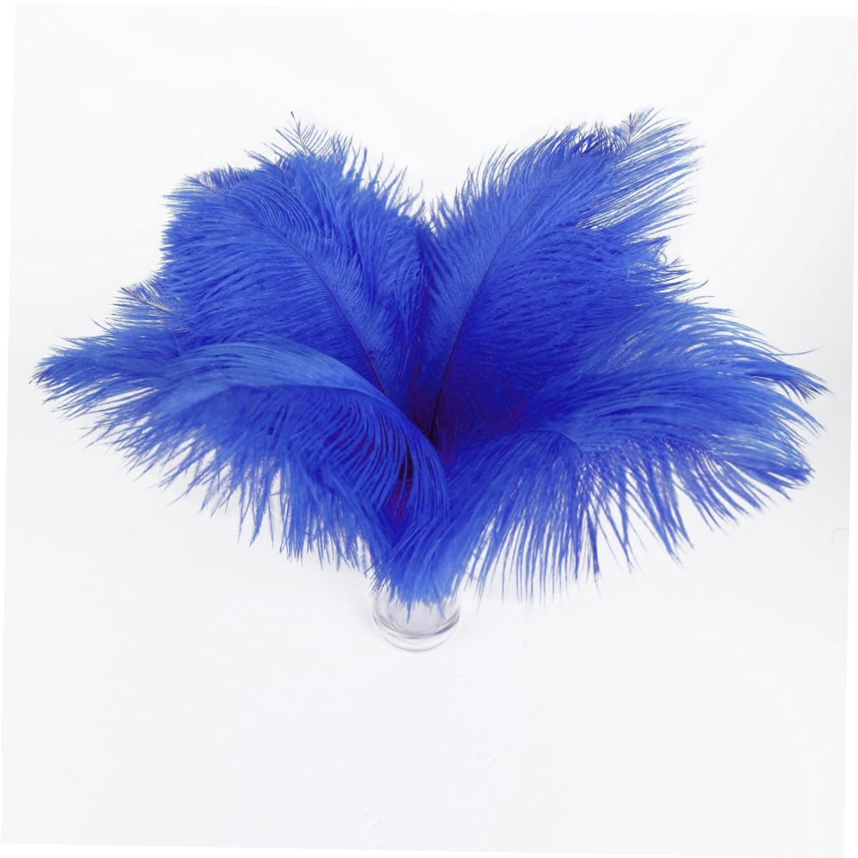 ARTIBETTER 20pcs Ostrich Ostrich s Ostrich Black Ostrich Decorations Blue