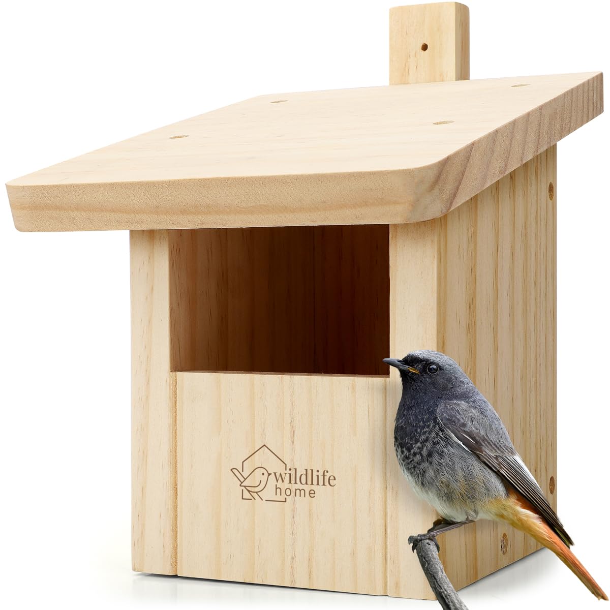 WILDLIFE HOME Nidificatore per coda di rosso, pettirosso in legno massiccio – resistente alle intemperie, mezza grotta per coda rossa, casetta per uccelli per esterni, casetta per nidificare uccelli