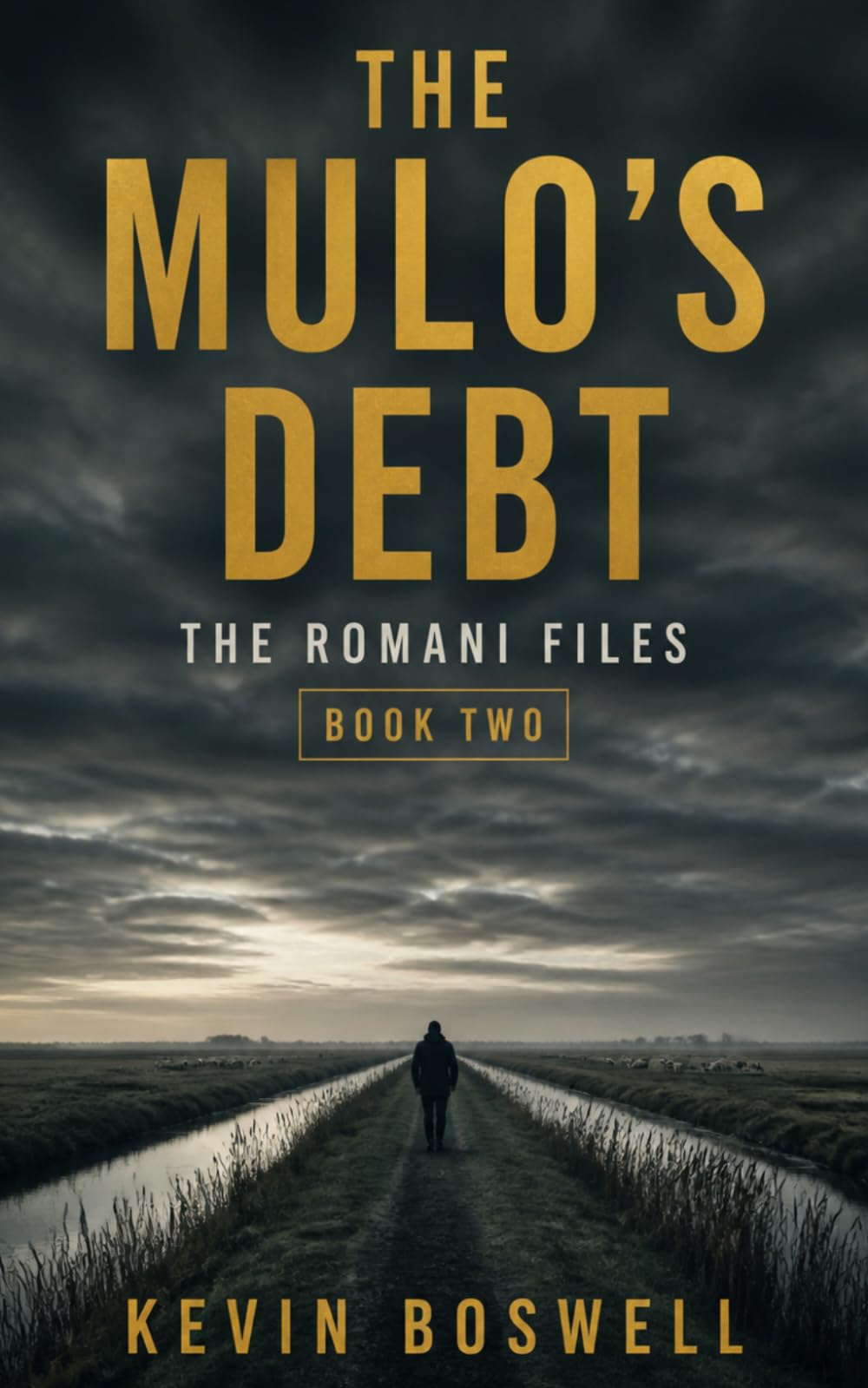 The Mulo's Debt: The Romani Files: Book Two (Series name: The Romani Files)