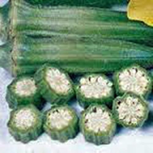Miniatura 3 de Okra Seed, Perkins Long Pod, reliquia, sin OMG, más de 25 semillas, semillas de okra