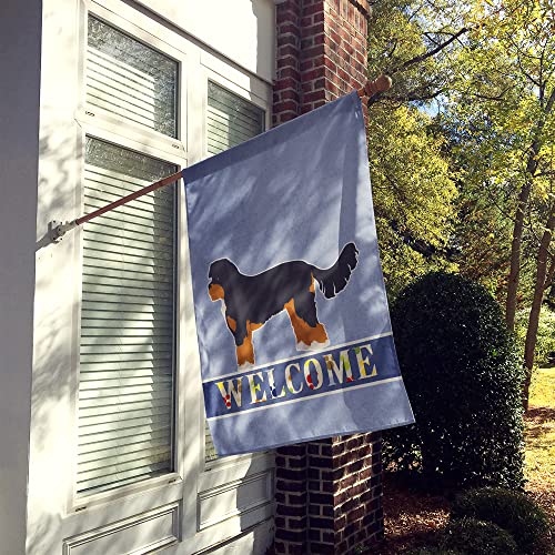 Drapeau Cavapoo pour entrée accueillante résolvant le manque de déco extérieure
