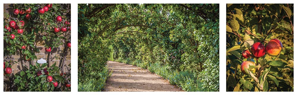 Paradise and Plenty: A Rothschild Family Garden