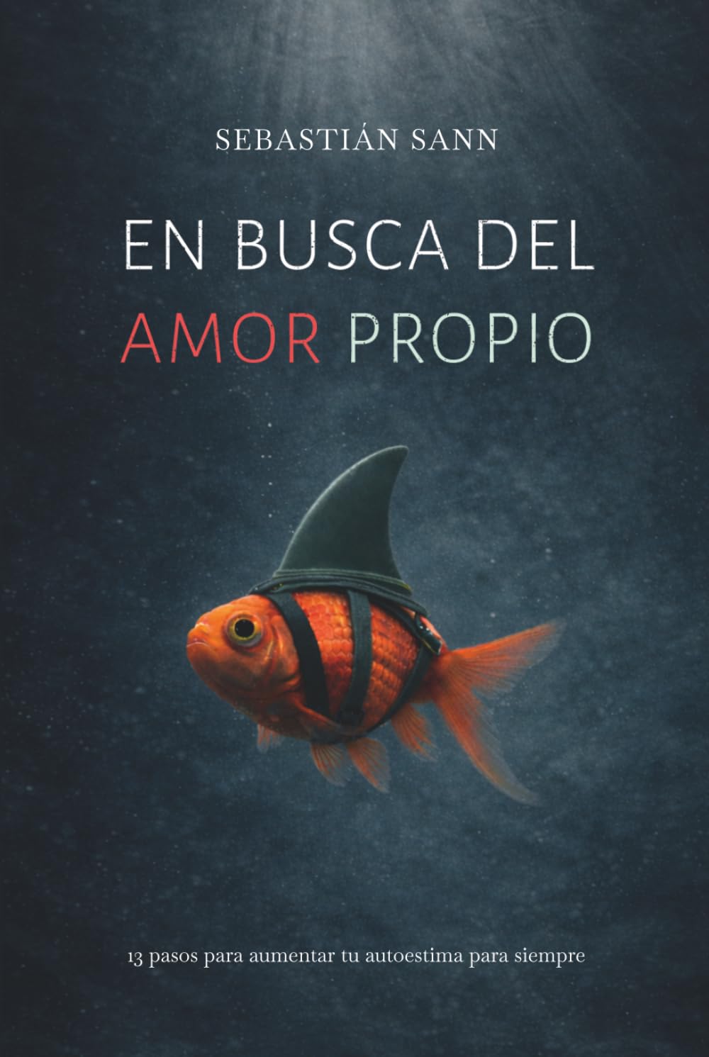 EN BUSCA DEL AMOR PROPIO: 13 pasos para aumentar tu autoestima para siempre