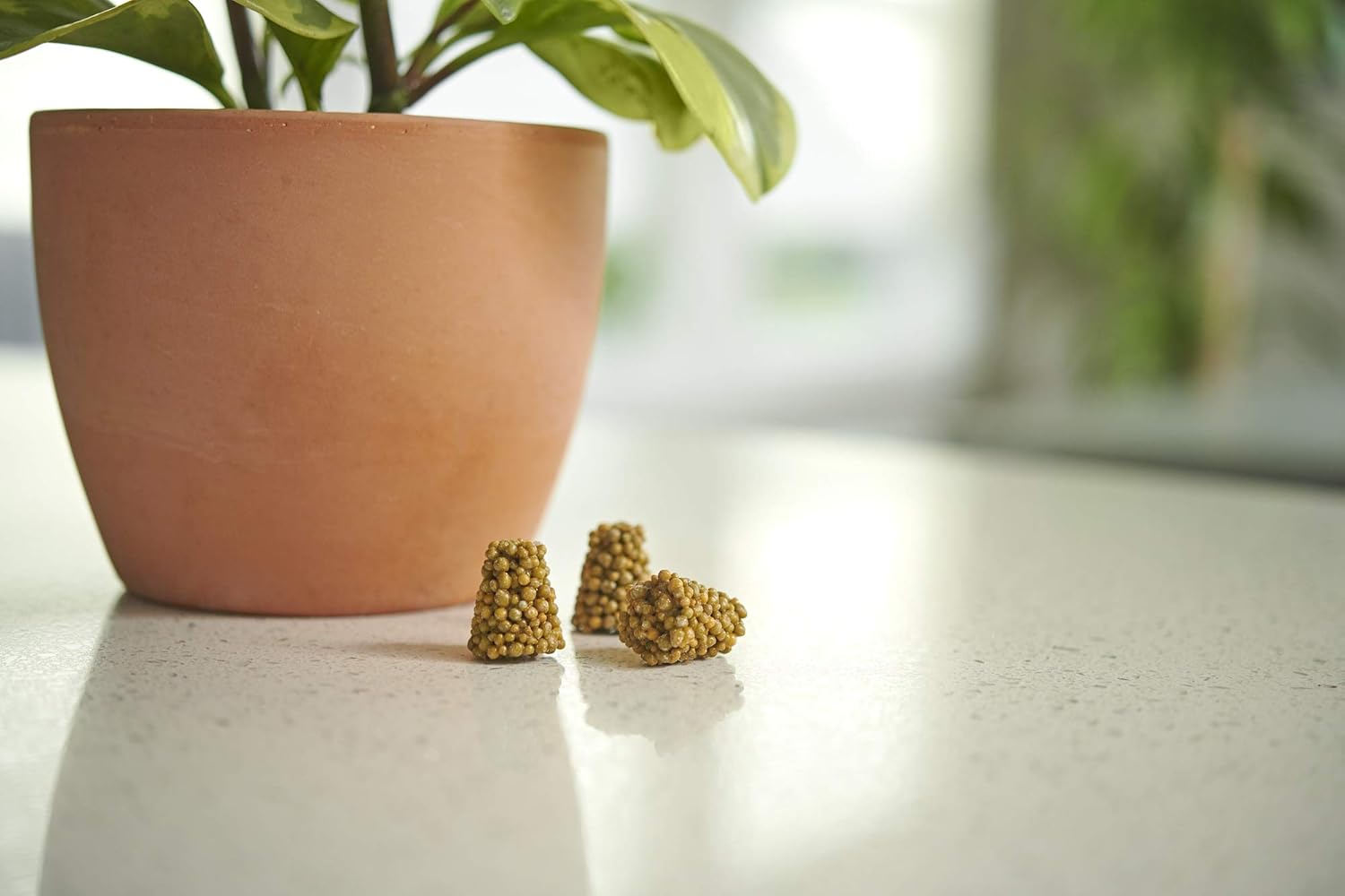 PotShots: Premeasured House Plant Food, Feed for up to 6 Months, 2