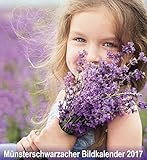  Münsterschwarzacher Bildkalender 2017 (Münsterschwarzacher Kalender)