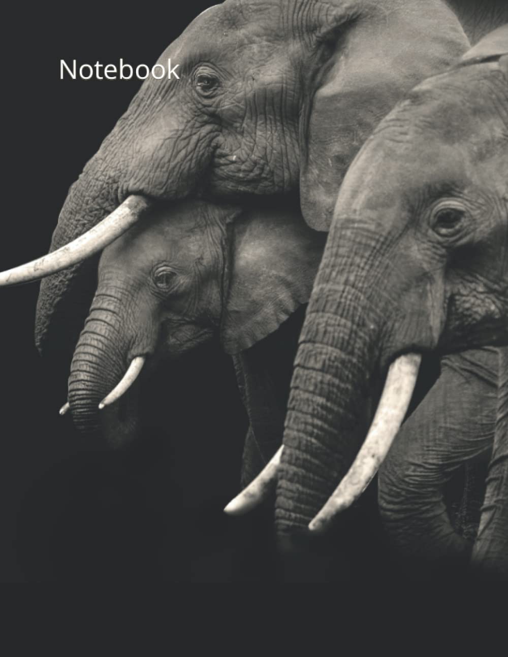 Wildlife Notebook Journal