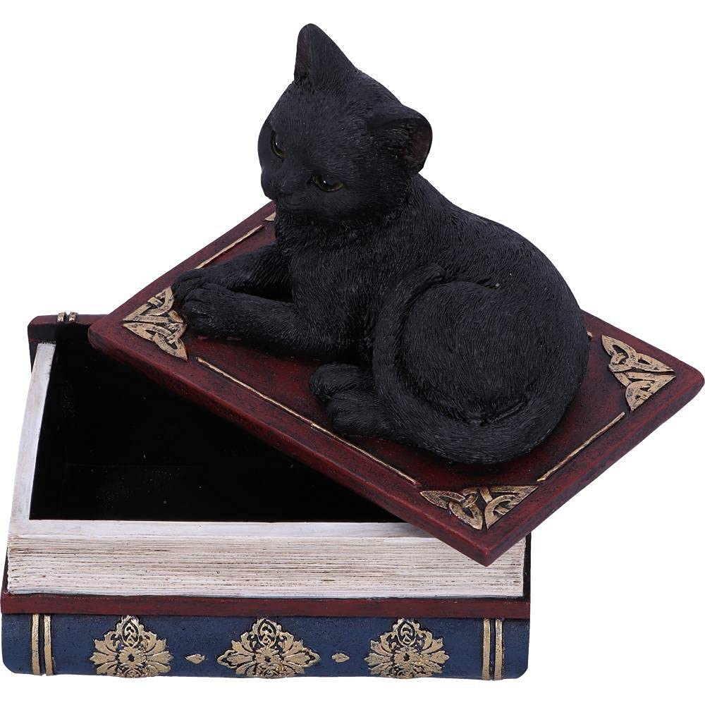 Nemesis Now Salems czarownice znane czarny kot i pudełko z księgą zaklęć, 11,7 cm