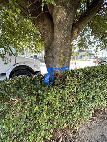 Wod Brc-Bnp Blue Barricade Flagging Tape - 3-Inch X 200 Ft. Bright Color Non-Adhesive For High Visibility & Safety At Workspace, Construction, Trails, Hazardous Areas, And Party Decoration. #TOP3