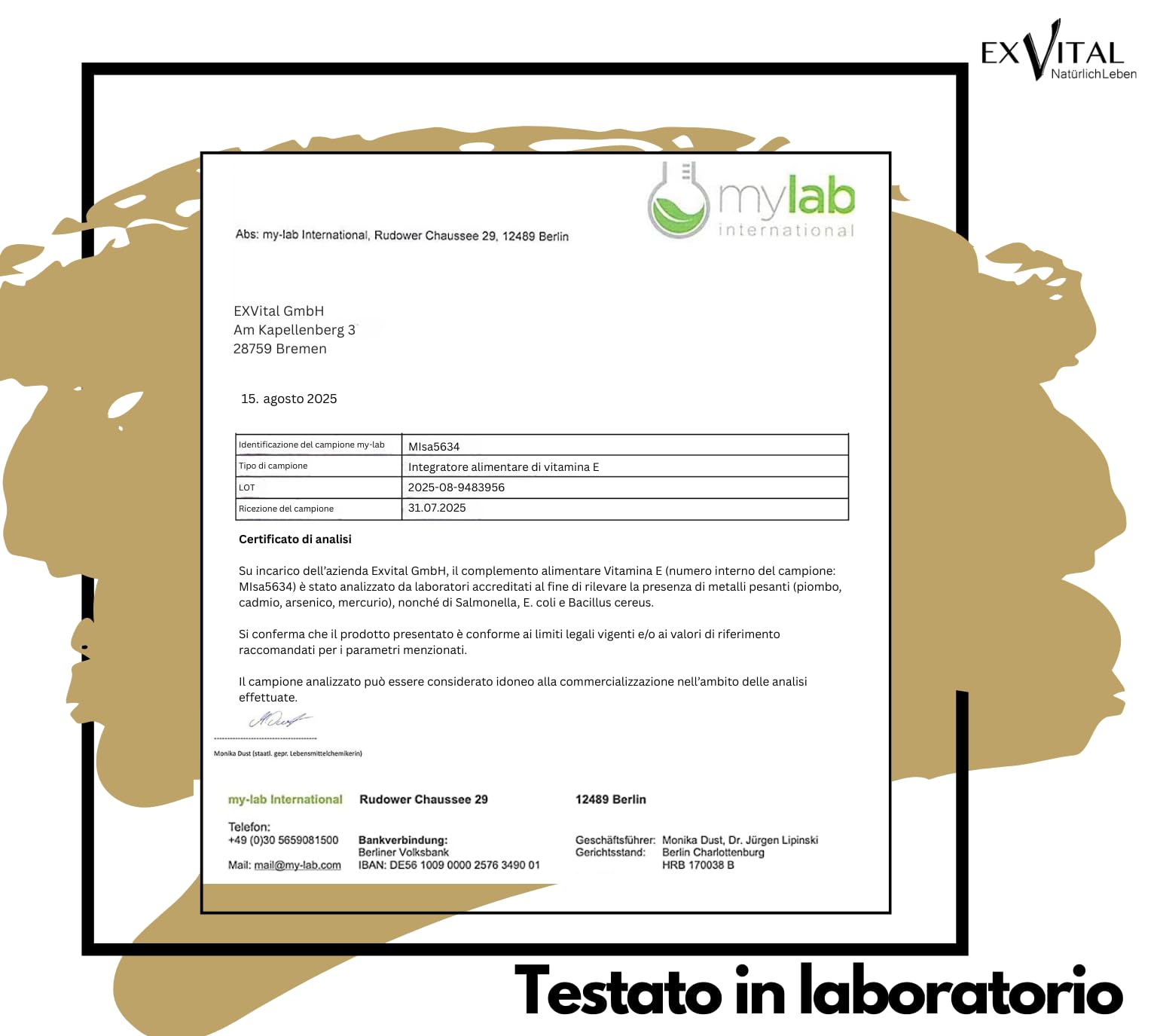 EXVital Vitamina E 400 UI, 240 capsule vegane in softgel, con D-alfa-tocoferolo, vitamina E da girasole, ad alto dosaggio e testata in laboratorio