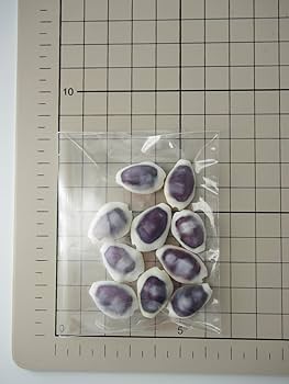 Amazon.co.jp: 【貝殻の問屋さん】シプレアマニータパープルトップ